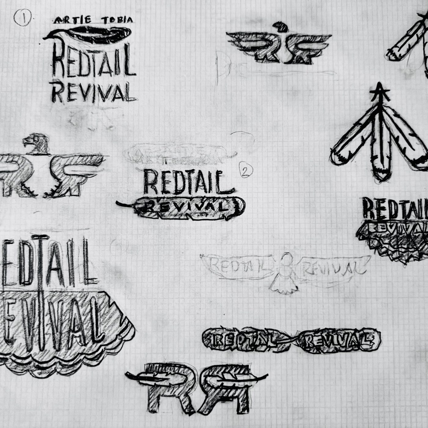 Redtail Revival logo — pencil sketch