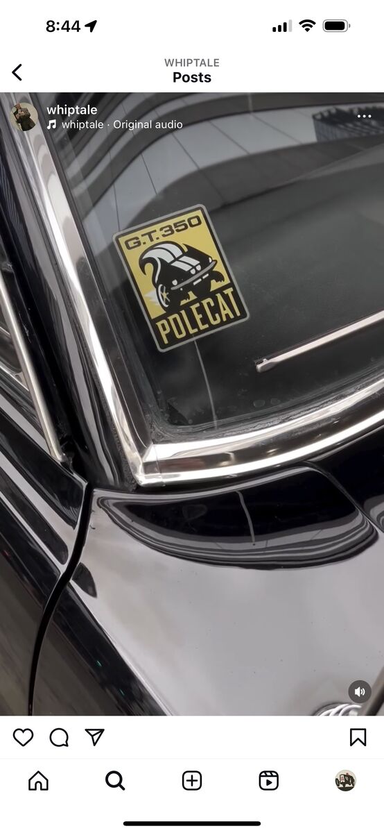 Polecat badge — Instagram post